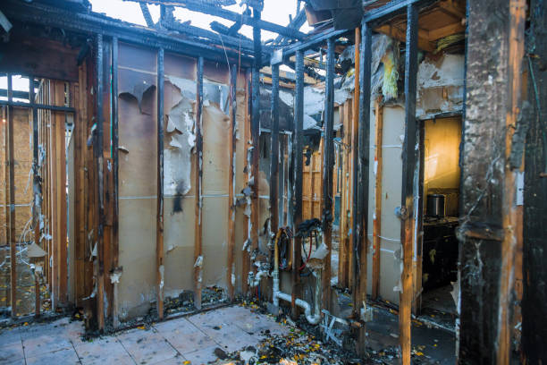 Professional Emergency Fire Cleanup technician working in Lakewood, WA
